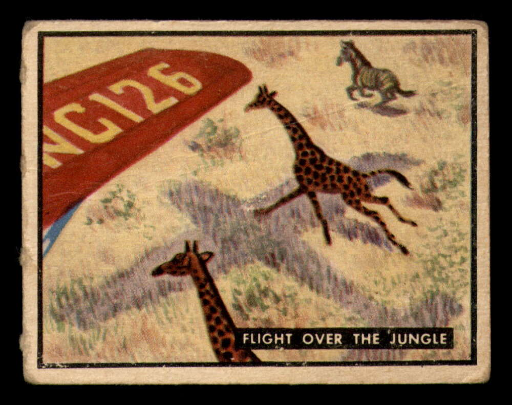 12 Flight Over The Jungle